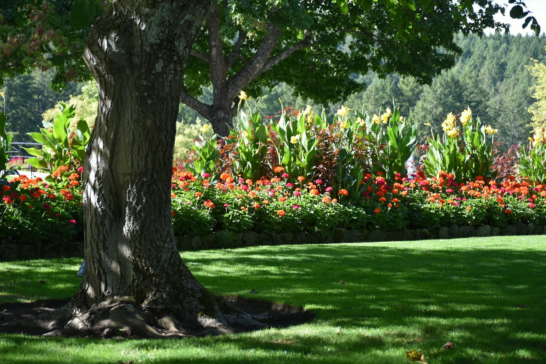 Mulched planting beds in a Utah landscape