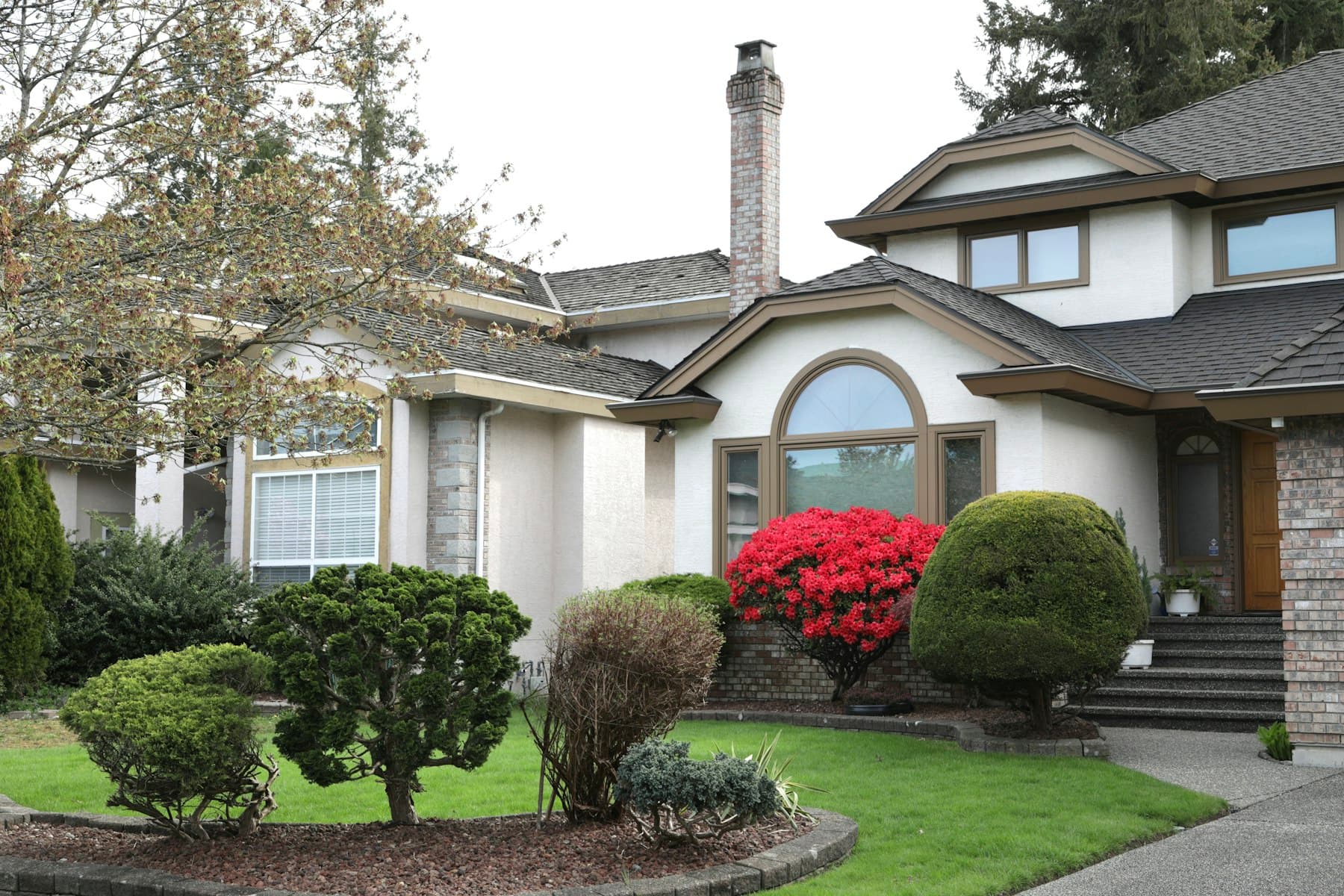 Refreshed suburban front yard with sculpted shrubs and tidy lawn